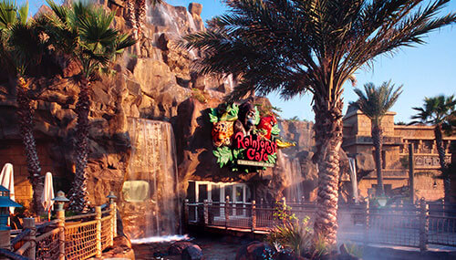 Rainforest Cafe - A wild place to shop and eat.